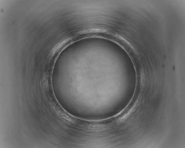 X0000074940921200609011112