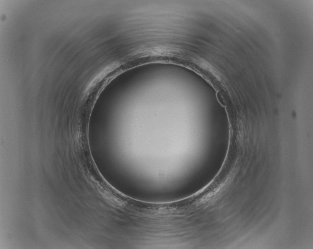 X0000074940922200609011112