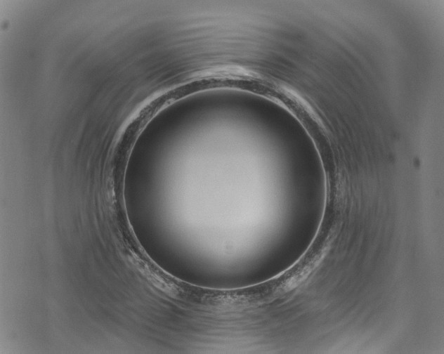 X0000074940923200609011112