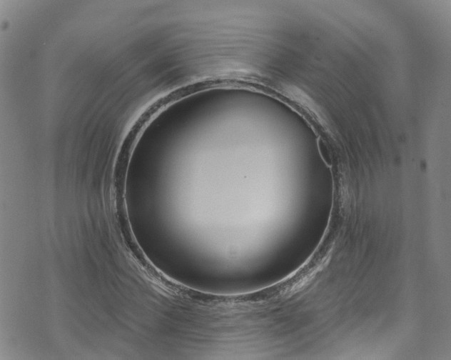 X0000074940924200609011112