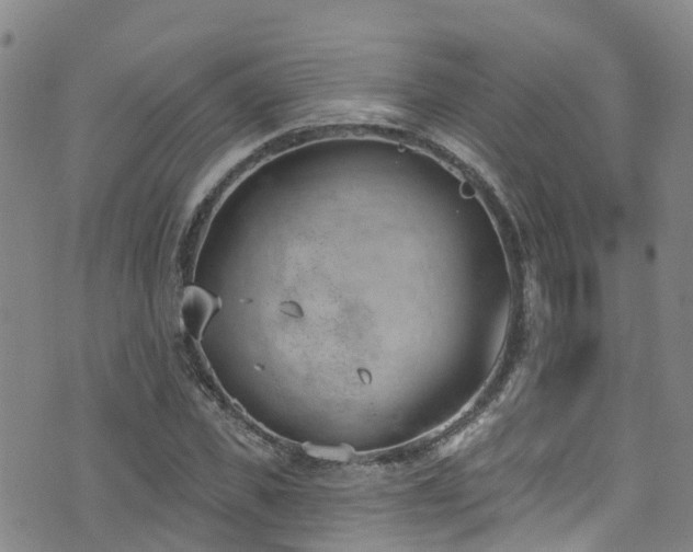 X0000074940925200609011112