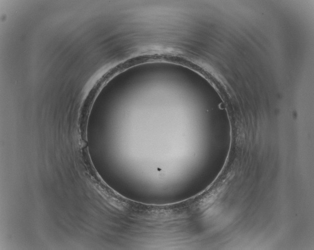 X0000074940927200609011112