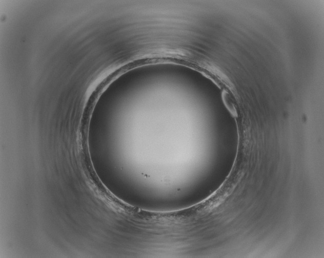 X0000074940928200609011112