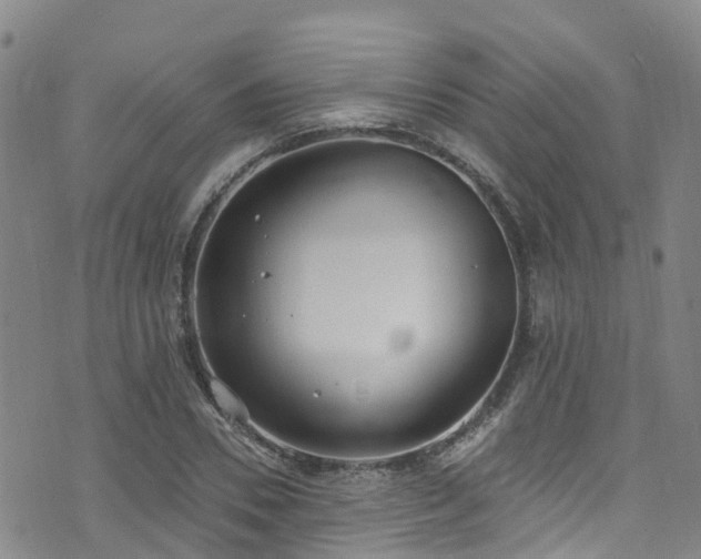 X0000074940930200609011112