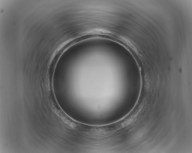 X0000074940931200609011112