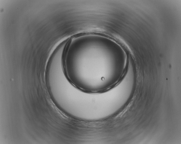 X0000074940932200609011112