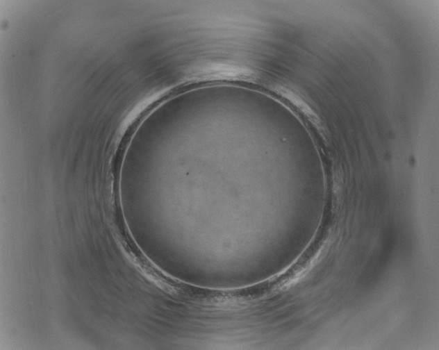 X0000074940933200609011112