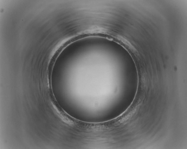 X0000074940934200609011112