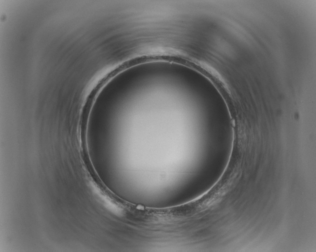 X0000074940935200609011112