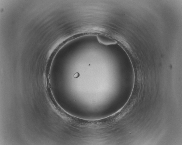 X0000074940936200609011112