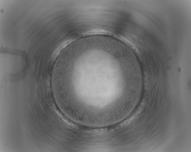 X0000074940937200609011112