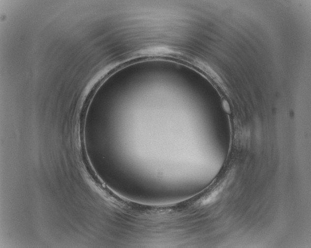 X0000074940939200609011112