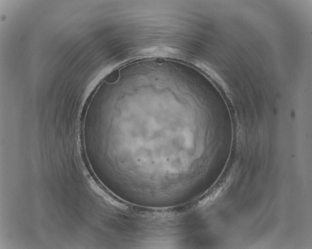 X0000074940941200609011112