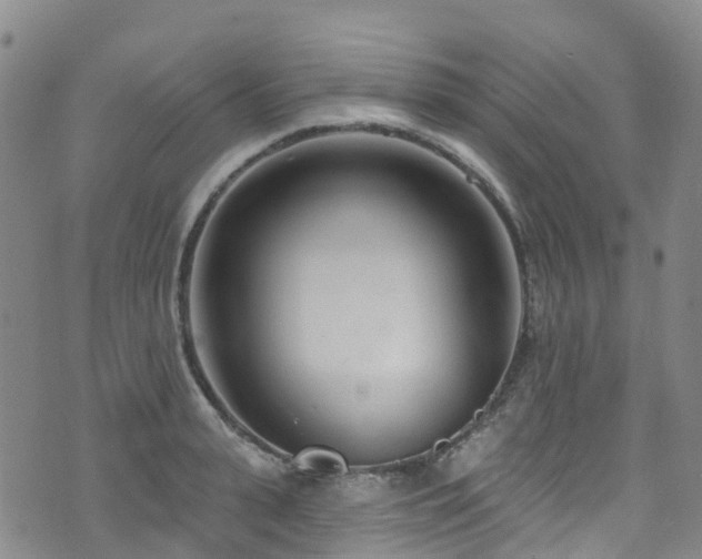 X0000074940943200609011112