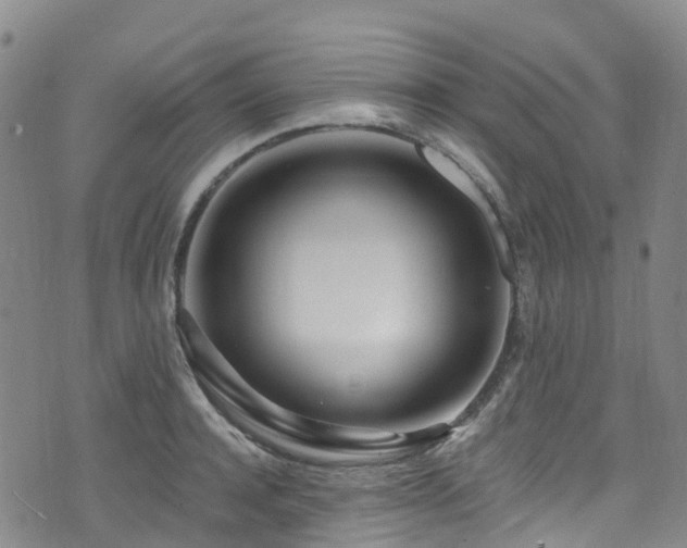 X0000074940944200609011112