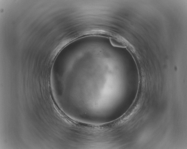 X0000074940945200609011112