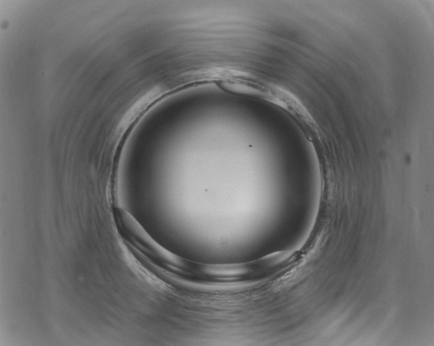 X0000074940946200609011112