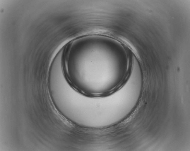 X0000074940948200609011112