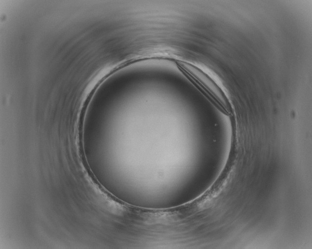 X0000074940949200609011112