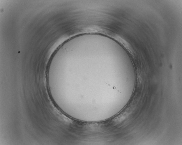 X0000074940950200609011112