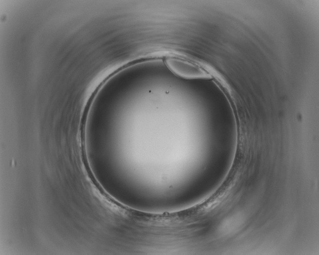 X0000074940951200609011112