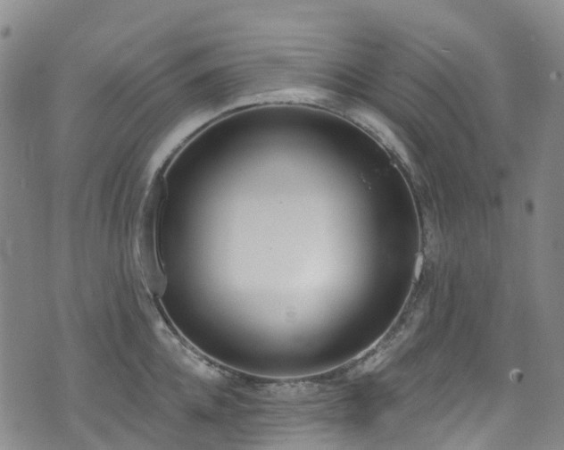 X0000074940952200609011112