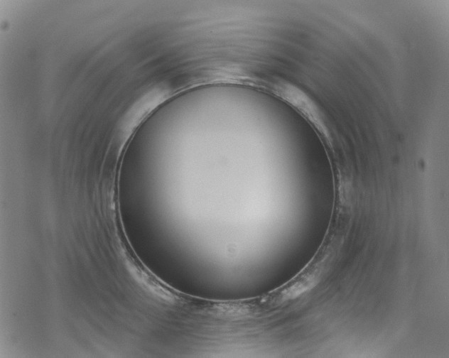 X0000074940954200609011112