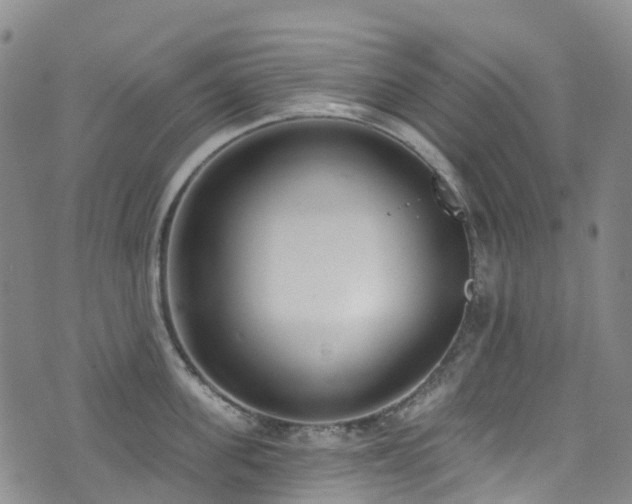 X0000074940955200609011112