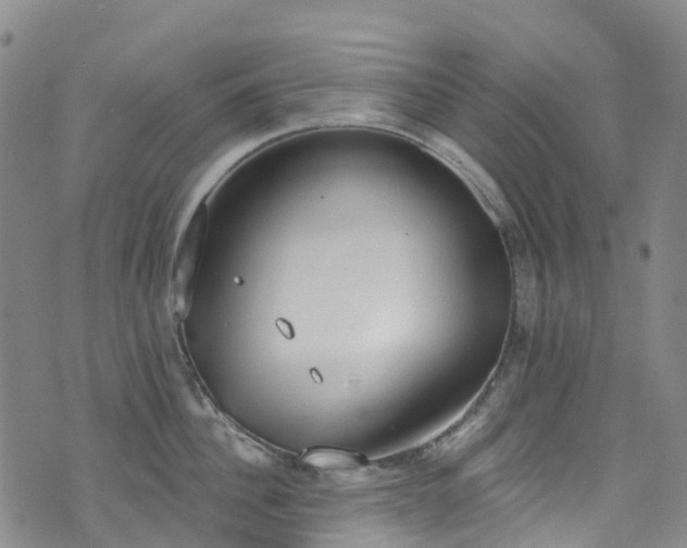 X0000074940956200609011112