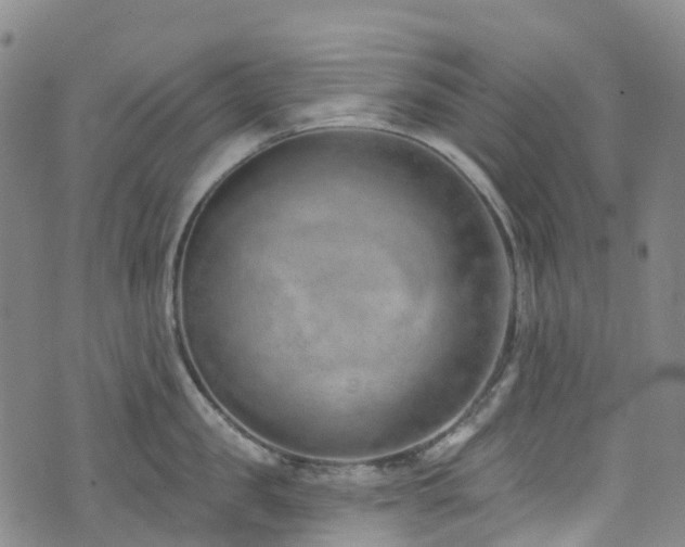 X0000074940957200609011112