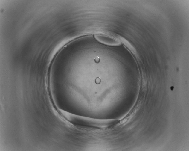 X0000074940958200609011112