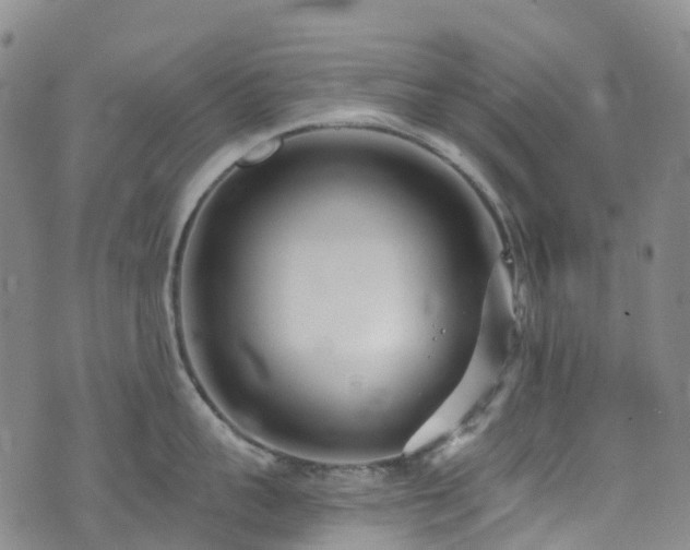 X0000074940959200609011112