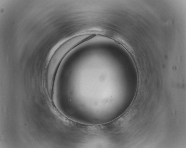 X0000074940960200609011112