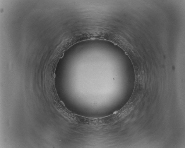 X0000074940961200609011111