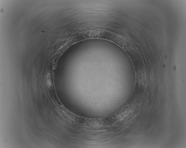 X0000074940962200609011111