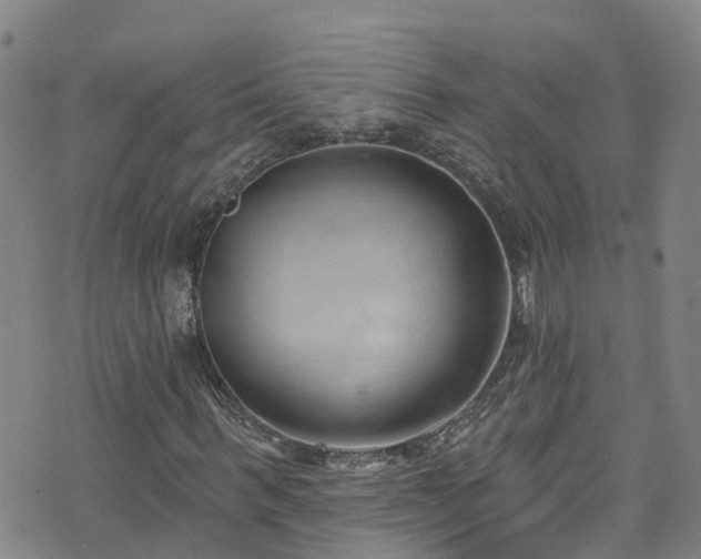 X0000074940963200609011111