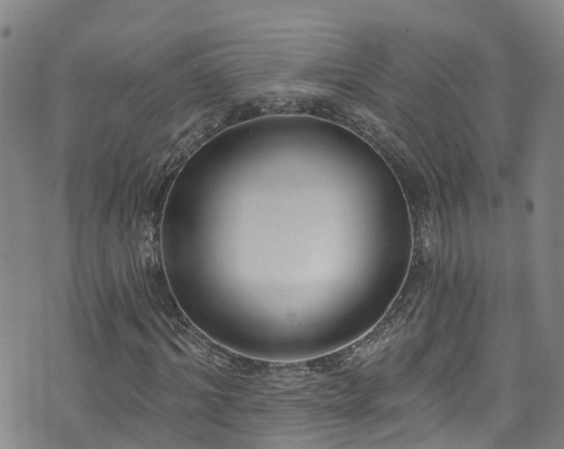 X0000074940964200609011111