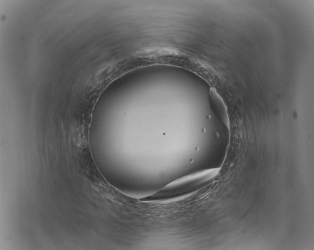 X0000074940965200609011111