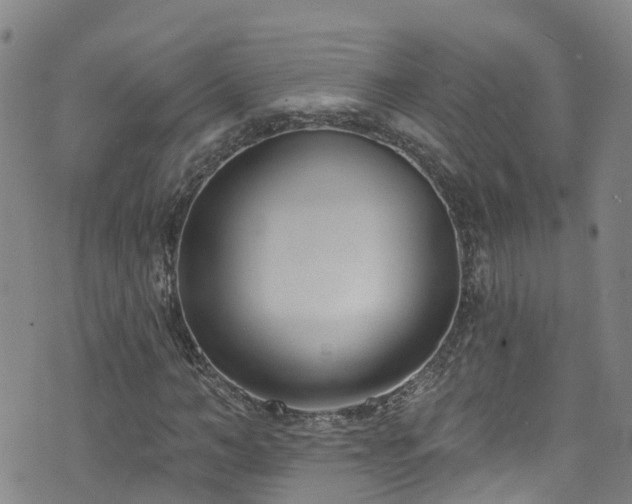 X0000074940966200609011111