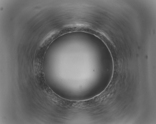 X0000074940967200609011111