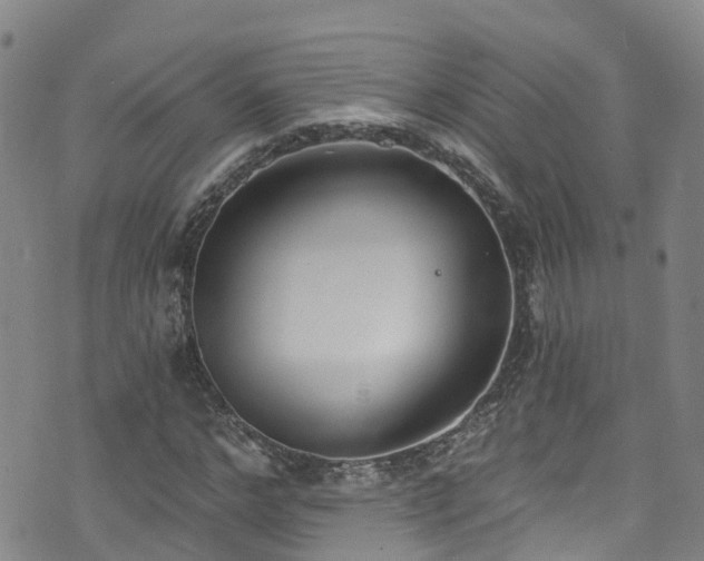 X0000074940968200609011111