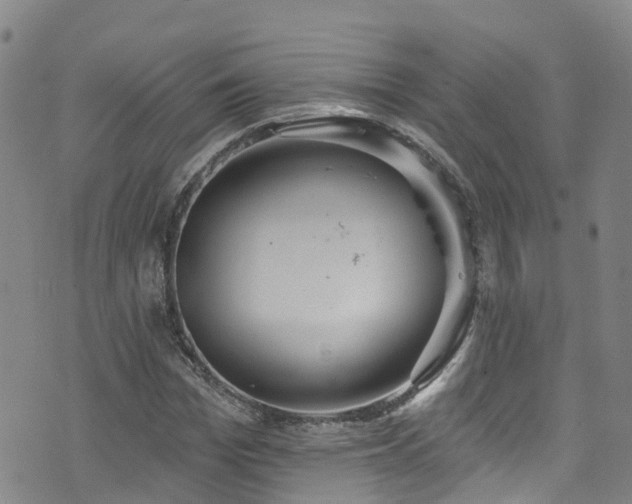 X0000074940969200609011111