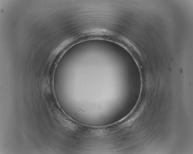 X0000074940970200609011111