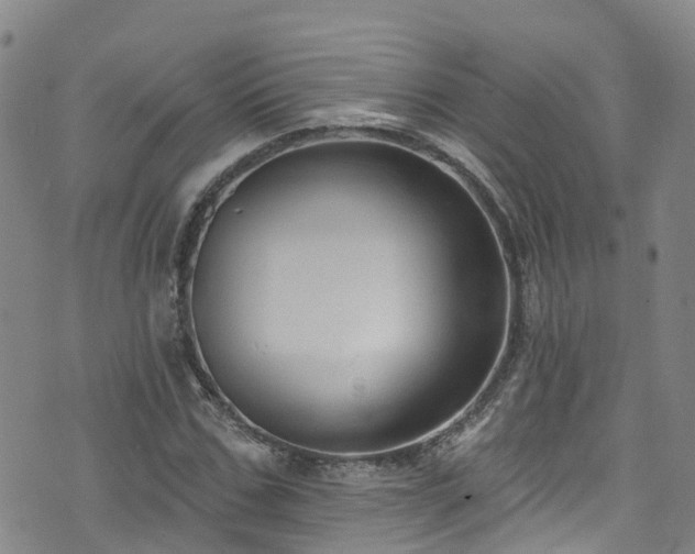 X0000074940971200609011111