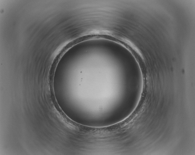 X0000074940972200609011111