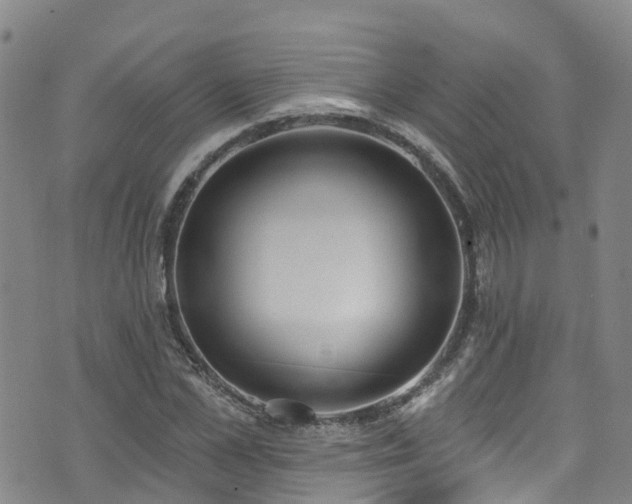 X0000074940973200609011111