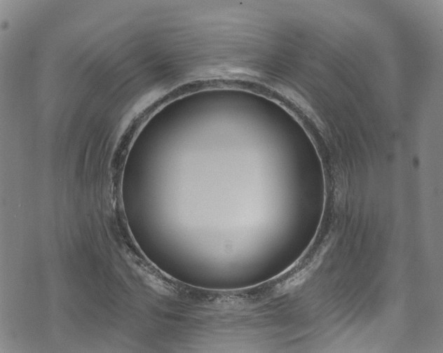 X0000074940974200609011111