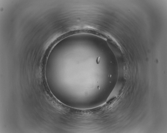 X0000074940975200609011111