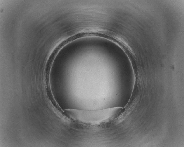 X0000074940976200609011111