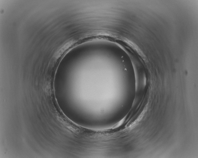 X0000074940977200609011111